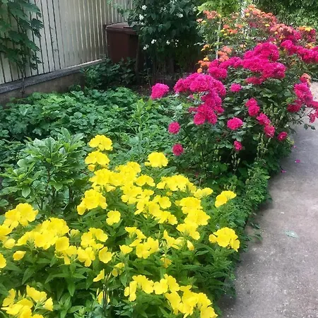 Adriana 3* Эфорие Норд