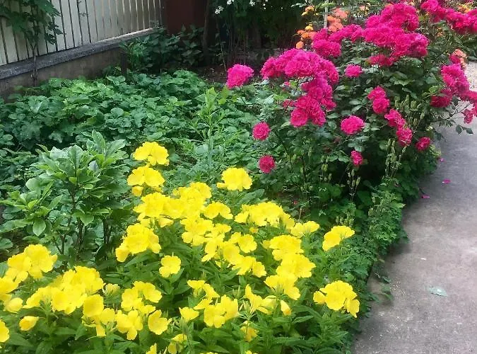 Adriana 3* Eforie Nord