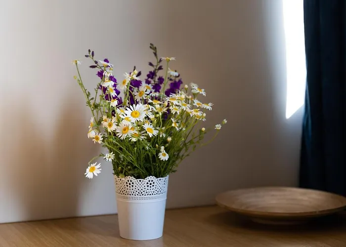 Gasthuis Adriana Eforie Nord