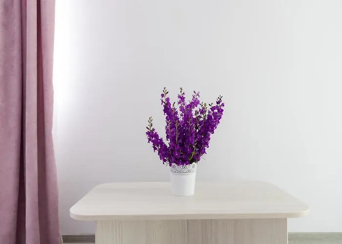 Guest house Adriana 3*